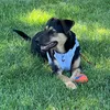 kiragirlgsd