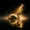 _liac26_