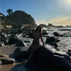 gabbyparraa