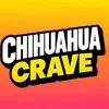 chihuahuacrave