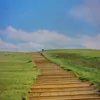 oplllwillw