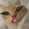 tehhkootakk