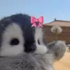 sweetcathc