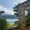 abida_zh
