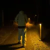 gaugea_