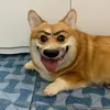 imbetty69