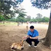 itshoangyeudau