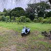 ganjaaas