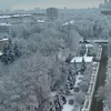 jenya_k