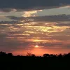 manuelmeza1