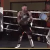 bulkmull