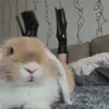 tanniagrimaldo