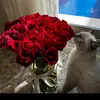 zahraa_adel973