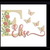 elize491