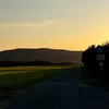 annii.274