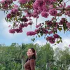 bimihuynh