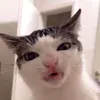 weewoo_4