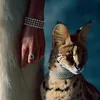 jiji_verse