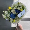 sfh365