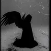 obscure.aii