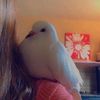squishy_pigeon