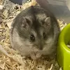 Mi🖤