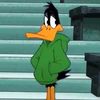 daffy_duckk