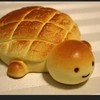 breadturtle0_0