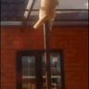 meowmeow63773