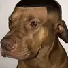 nadirvargas