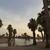 cocobear.27