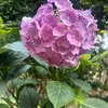 julymoon718