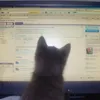 tom.slnz