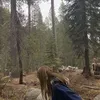 karolina.somo