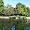 douja75444