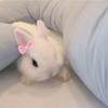 soobunnyyyy