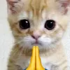 user2357899222169