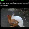 bourrelacaisse
