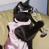 sirrpa