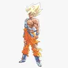 gokussj_12