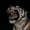 the0nlyywhit