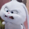 735293739.a