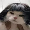sadprincessluni