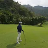 ngnhainam