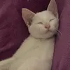 tia_luciaf.a