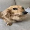 xkilosyt