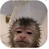 martijsl