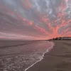 azizi_d