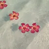 tropicana.1