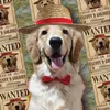 luffydgoldie